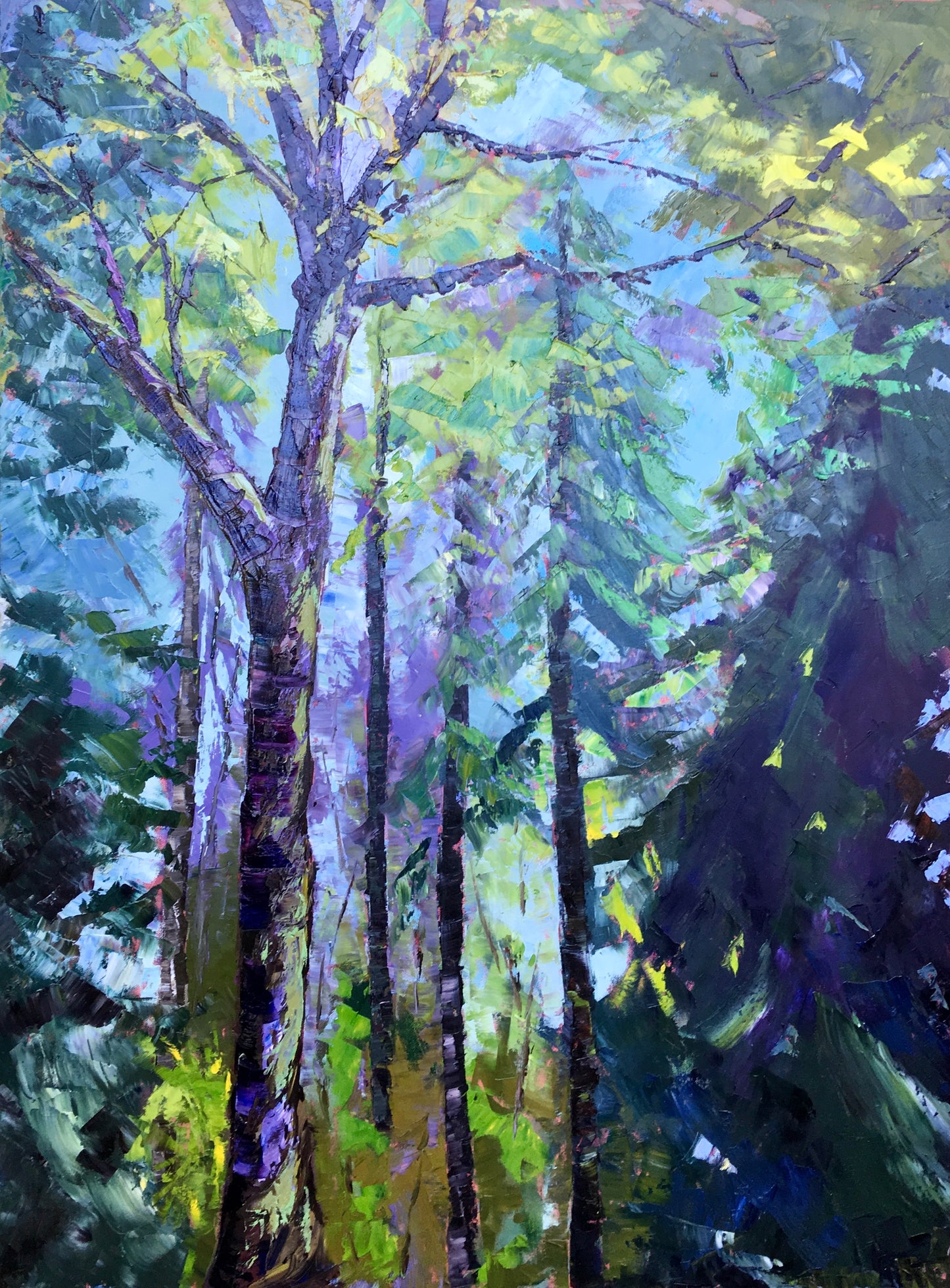 Tree Landscape Painting  / North Carolina, Swift Creek Nature Preserves