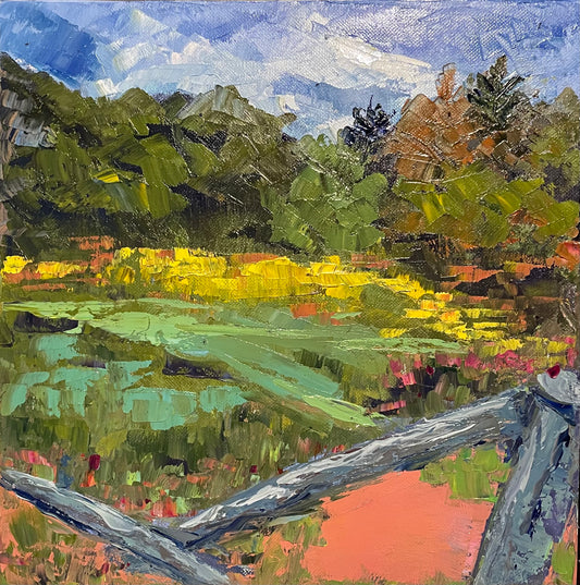 Blue Sky, Green, Orange Meadow /  Landscape Original Oil Painting / Carvers Gap Roan Mountain