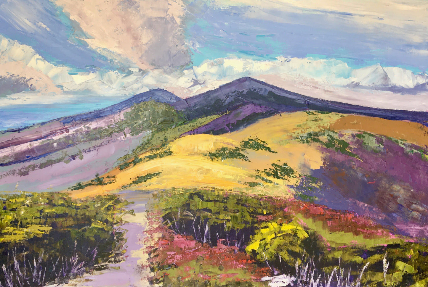 Purple Mountains and Big Sky / Landscape Print /  Roan Mountain / Asheville NC / Fine Art Print on Matte Archival Paper